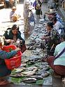 Burma III-048-Seib-2014
